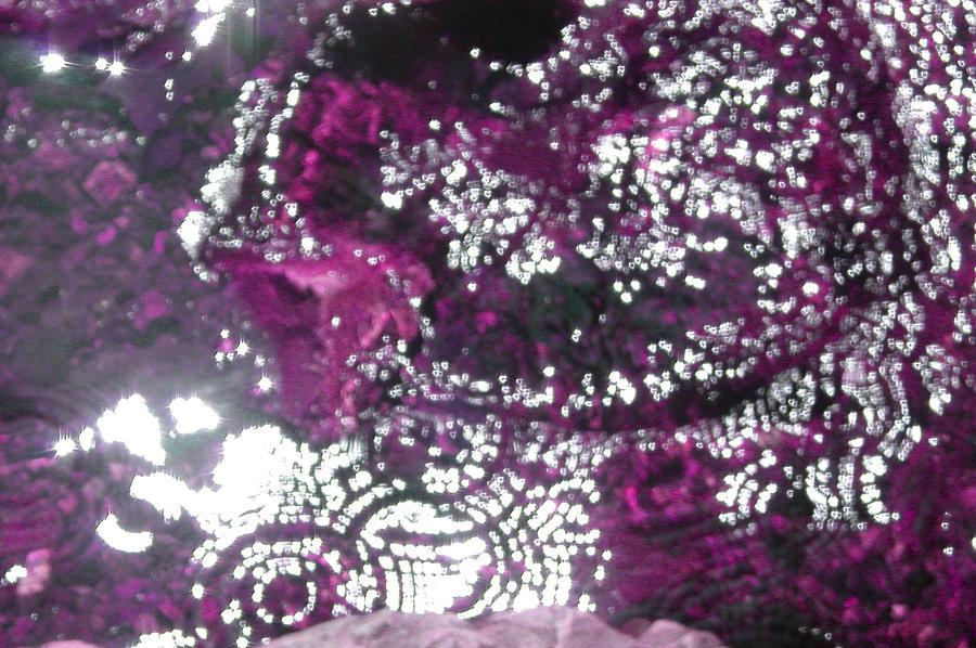 Electric Violet Digital Art by Anne Cameron Cutri