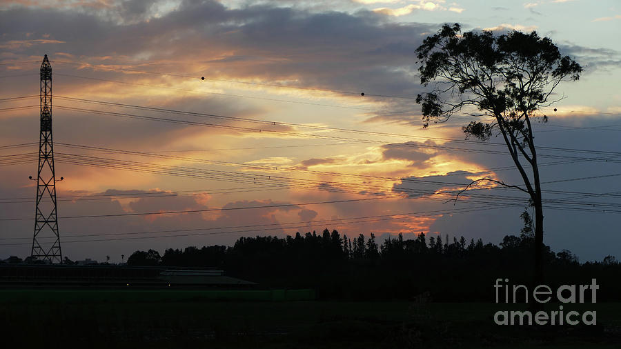 Electrified sunset Photograph by Arik Baltinester