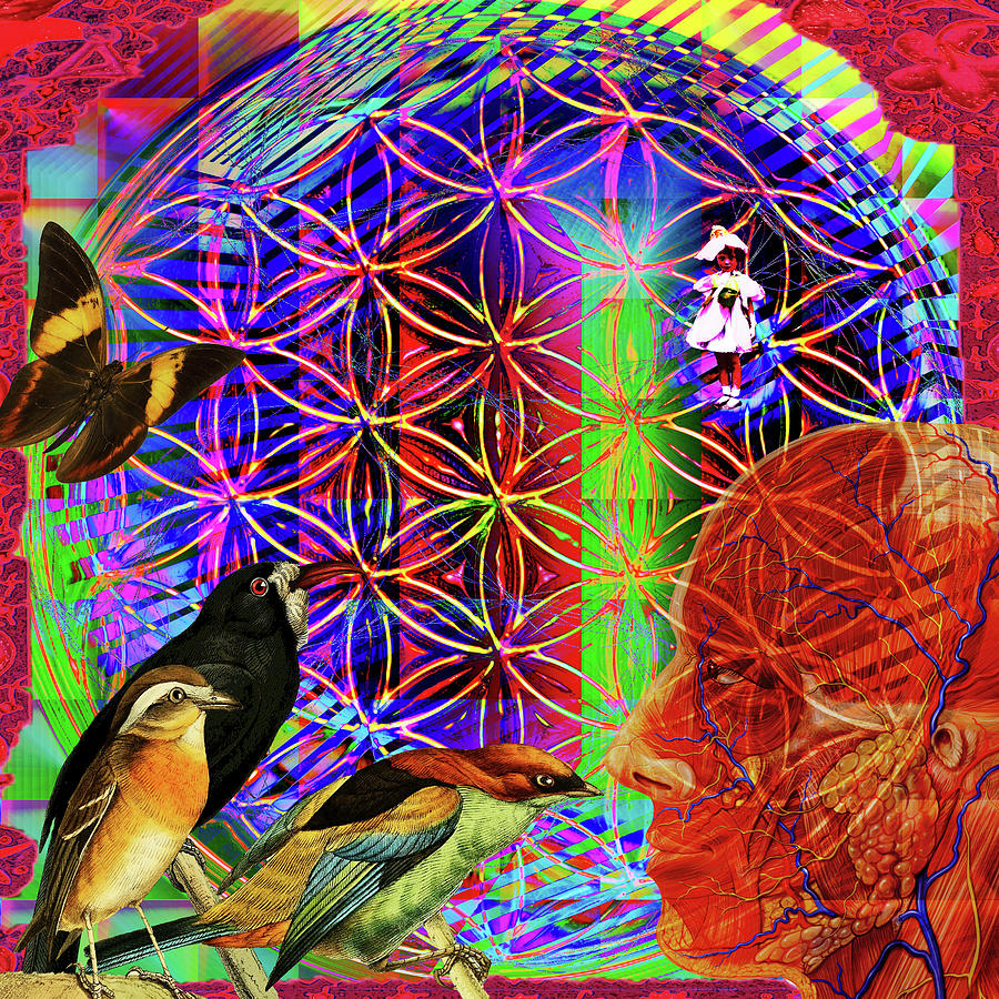 Flower Digital Art - Electromagnetic by Joseph Mosley Flower Digital Art - Electromagnetic by Joseph Mosley