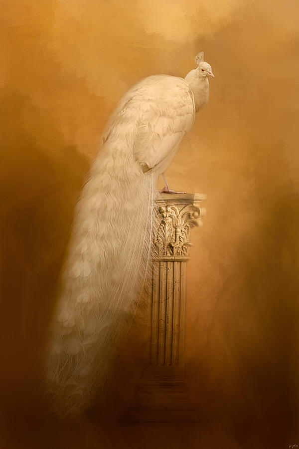 Bird Photograph - Elegance In Gold by Jai Johnson
