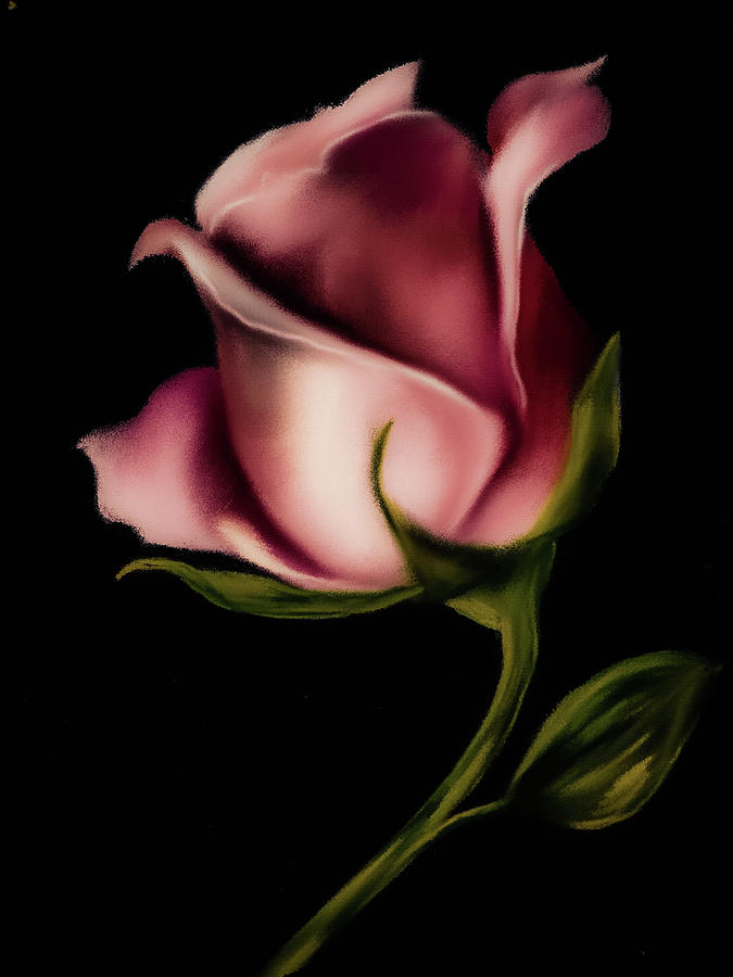 Elegance Rose Digital Art by Michele Koutris