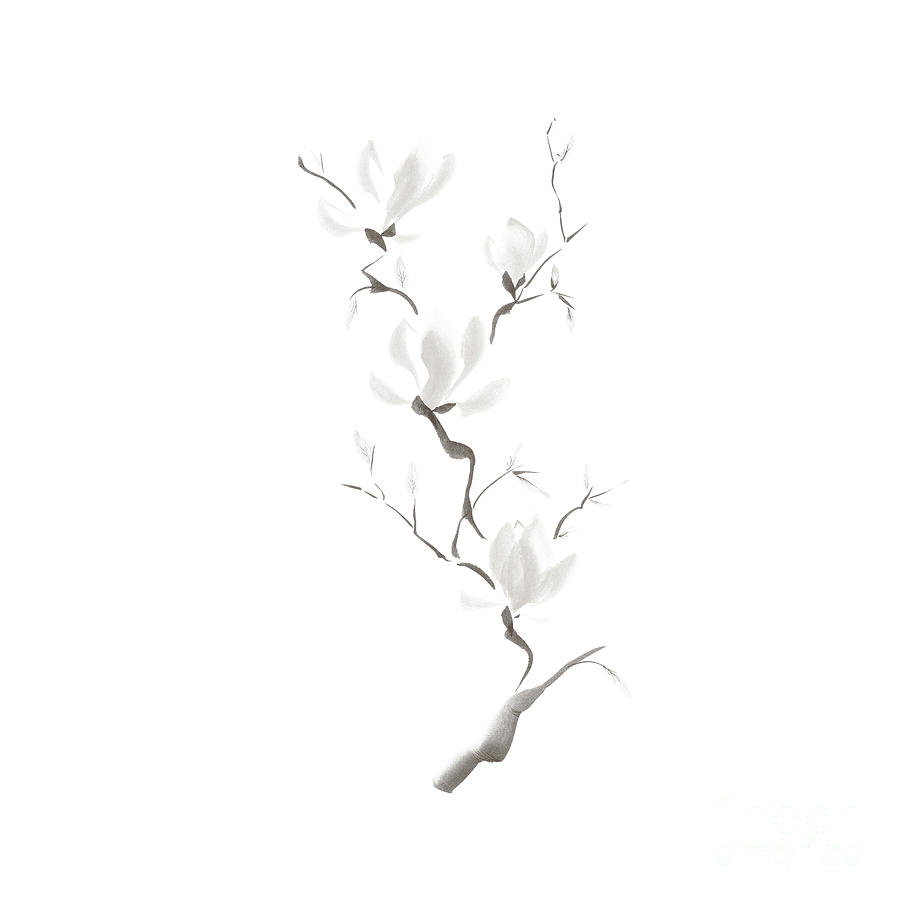 Magnolia Movie Mixed Media - Elegant branch of magnolia flowers artistic design on white back by Awen Fine Art Prints