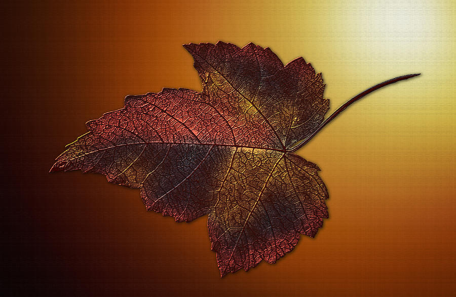 Fall Digital Art - Elegant Fall Leaf by Fabian G