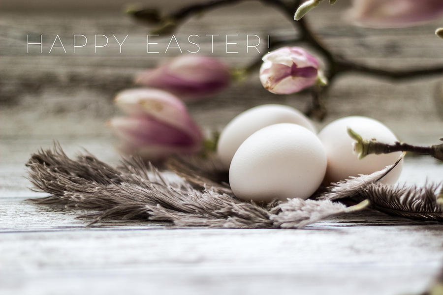 Elegant Happy Easter card with eggs and magnolia on the wooden background Photograph by Aldona Pivoriene