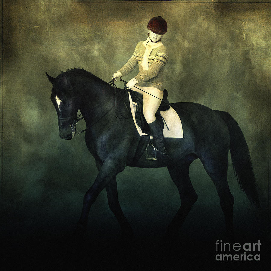 Elegant Horse Rider Photograph by Dimitar Hristov