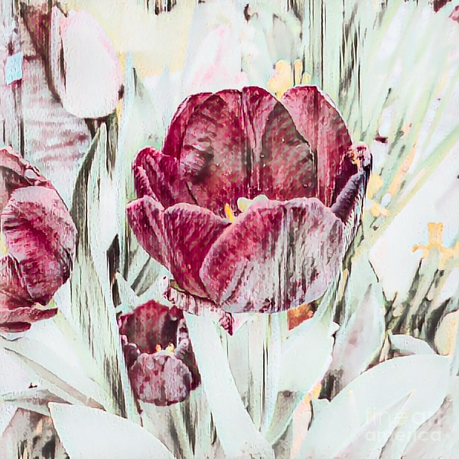 Elegant Muted Tulips Photograph by Luther Fine Art