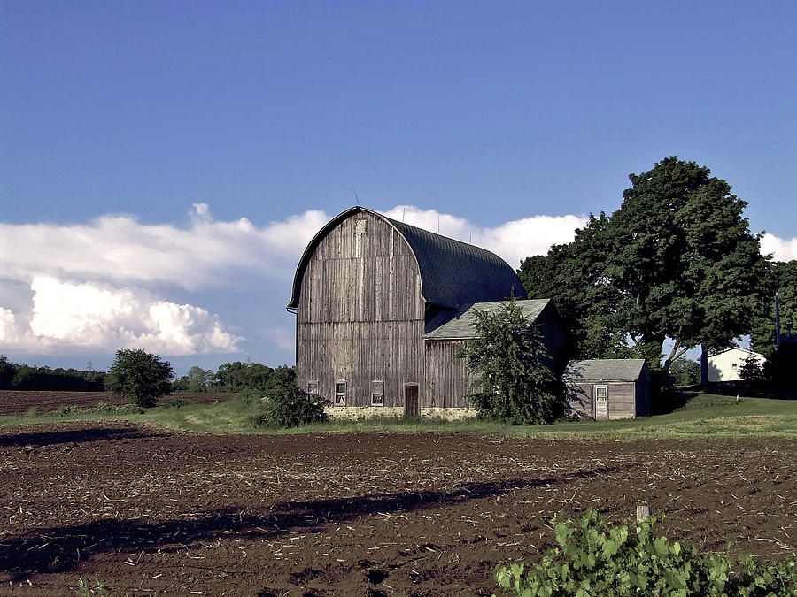 Elegant Old Barn Photograph by Richard Gregurich
