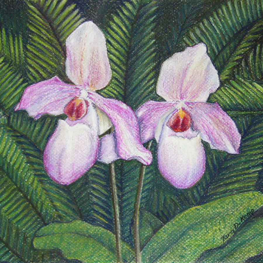 Elegant Orchid Twins Pastel by Tara D Kemp