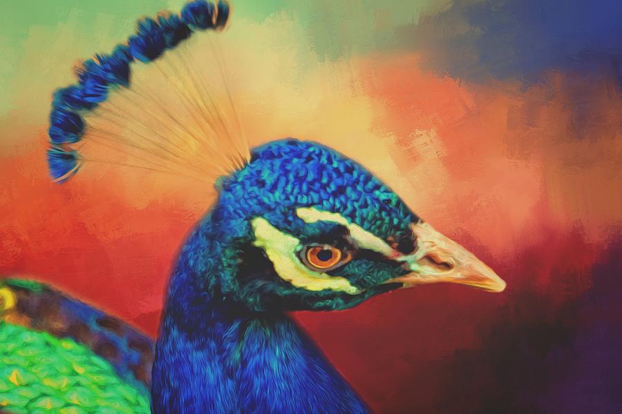 Elegant Peacock Portrait Photograph by Alice Gipson