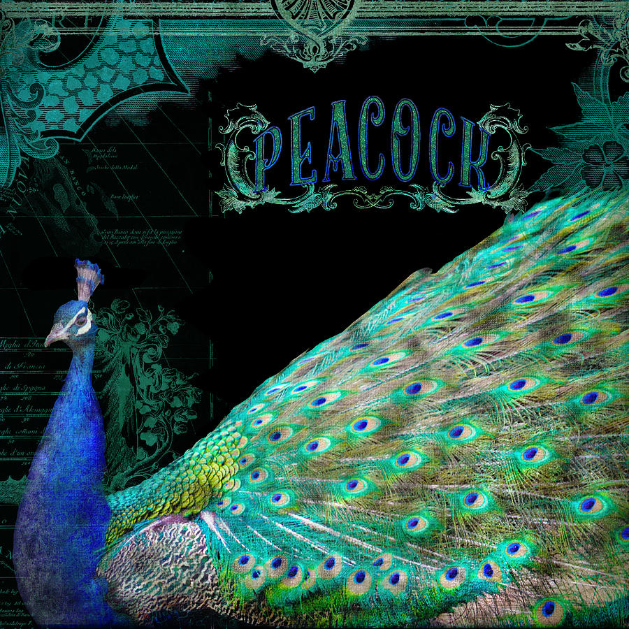 Elegant Peacock w Vintage Scrolls Typography 4 Mixed Media by Audrey Jeanne Roberts