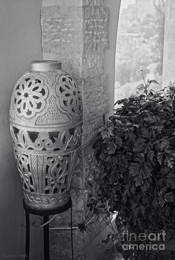 Elegant Silver Vase Photograph by Constance Woods