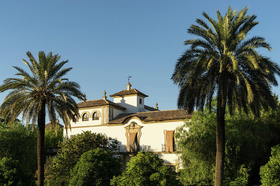 Elegant Spanish Mansion Framed by Palm Trees Photograph by Georgia Mizuleva