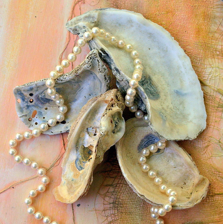 Elegant Treasures from the Sea Photograph by Carla Parris