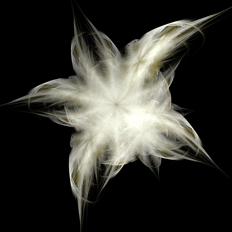 Elegant White Feathers Digital Art by Richard Ortolano