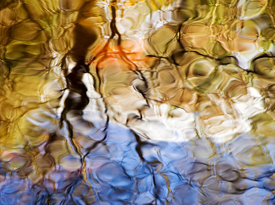 Abstract Photograph - Elementals by Joanne Baldaia - Printscapes
