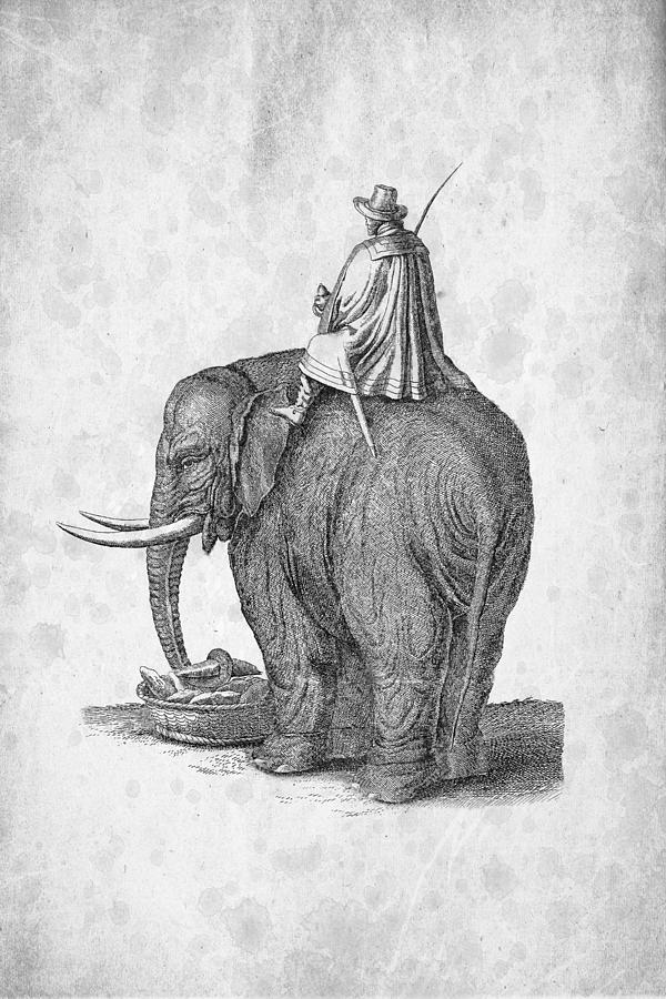 Elephant Digital Art - Elephant 02 Historiae Naturalis 1657 by Aged Pixel