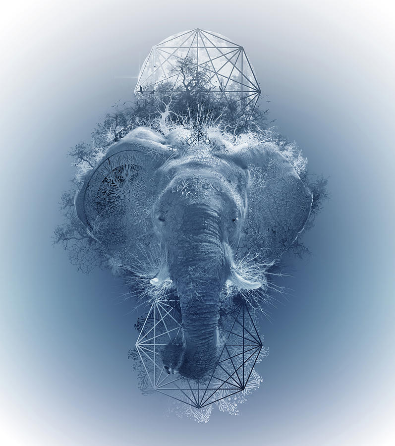 Elephant 2 Digital Art
