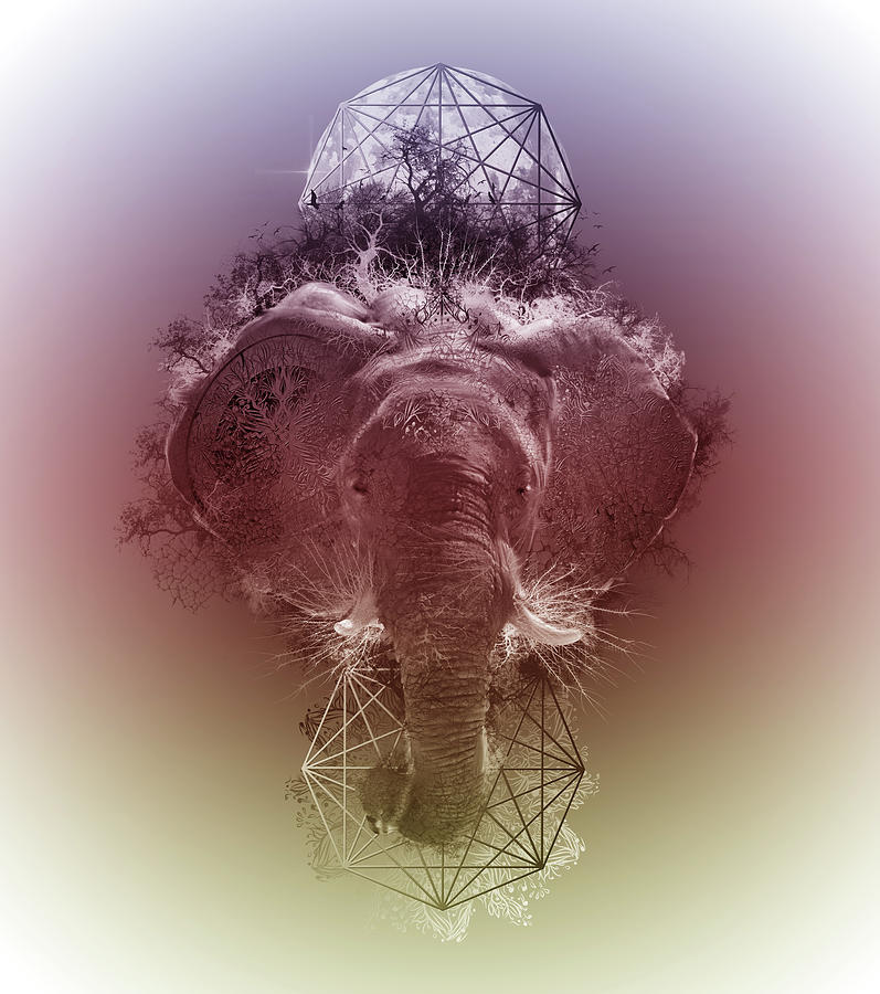 Animal Digital Art - Elephant 3 by Bekim M