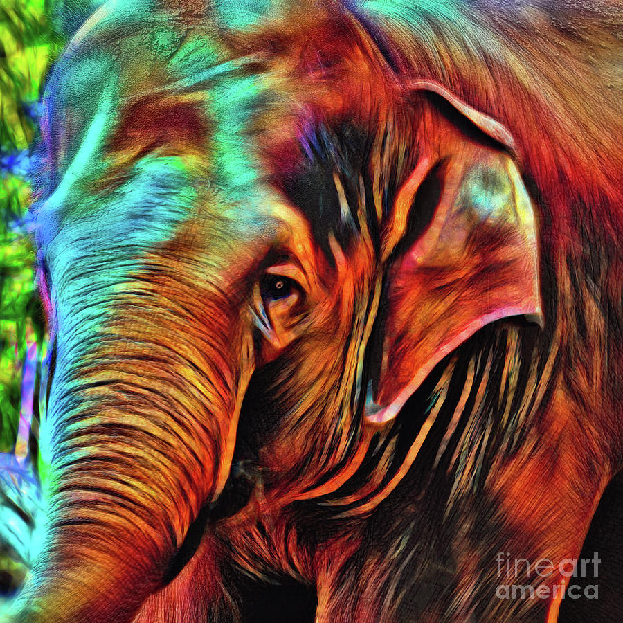 Elephant Photograph - Elephant Abstract Psychedelic by Kaye Menner by Kaye Menner