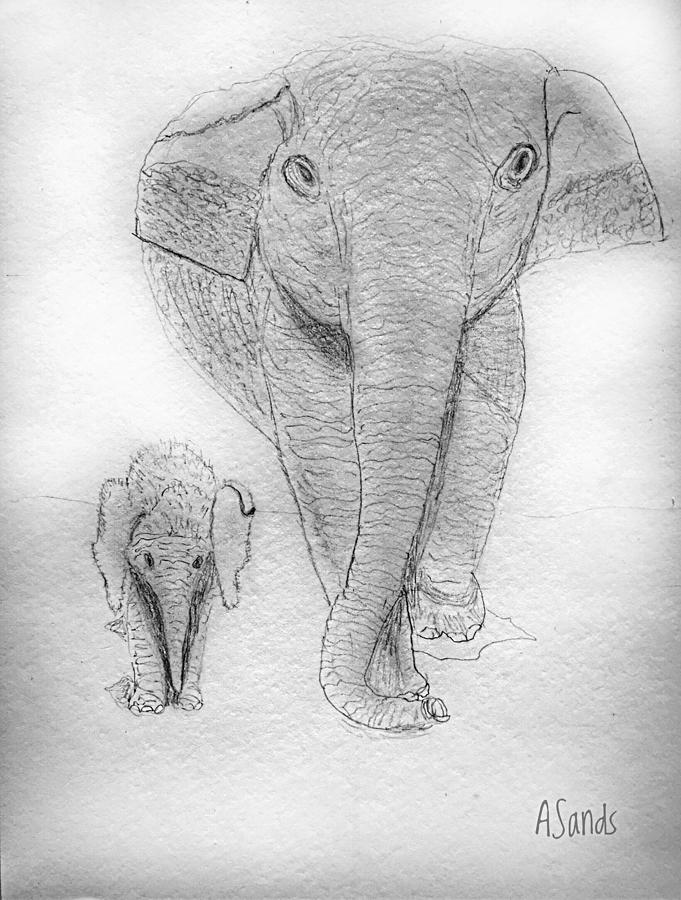 Elephant and Baby Drawing by Anne Sands