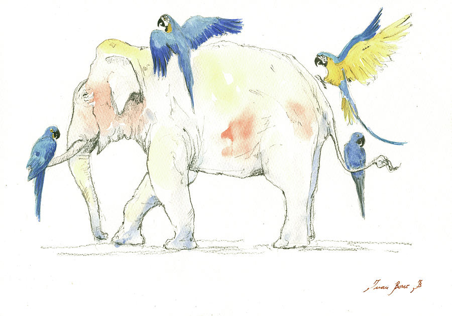 Elephant Painting - Elephant and parrots by Juan Bosco