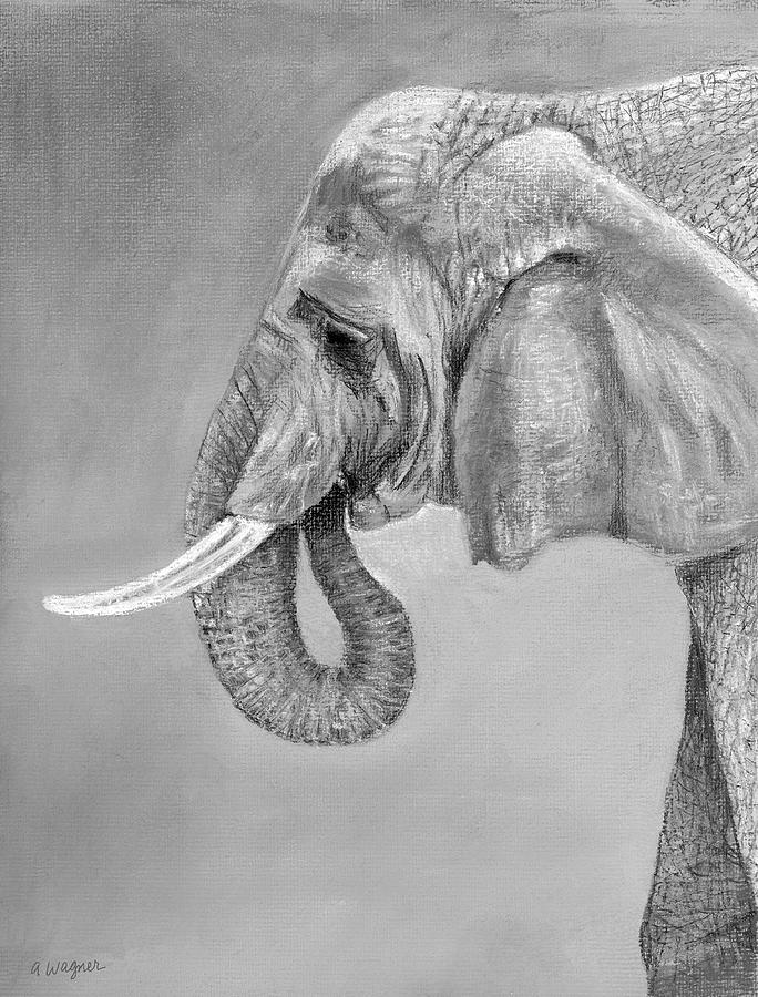 Elephant Pastel by Arline Wagner