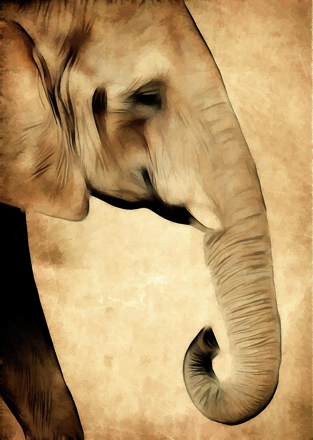 Elephant Art Photograph