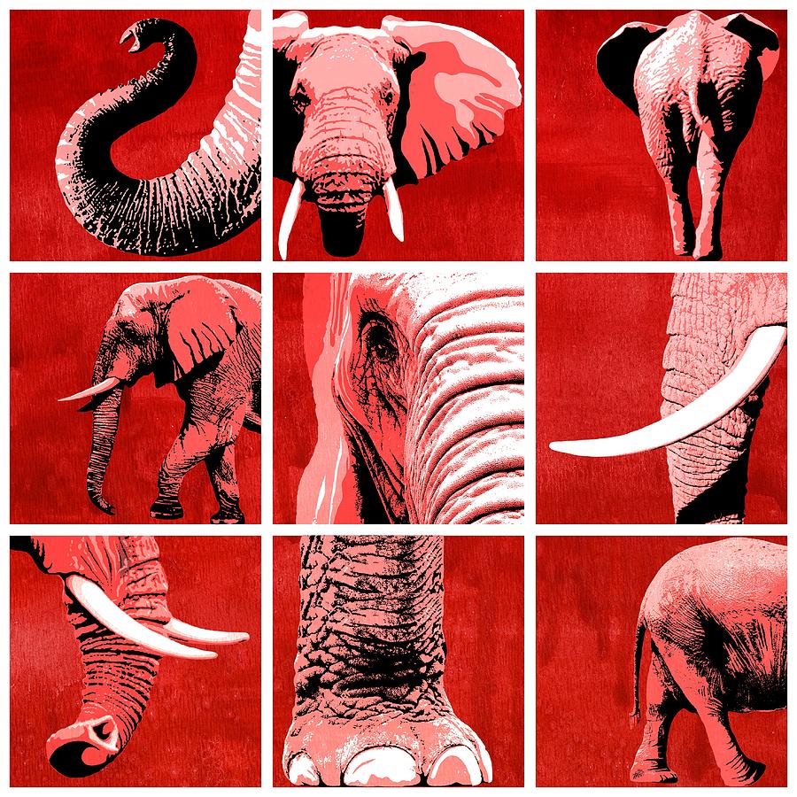 Animal Painting - Elephant Animal Decorative Red Multiptych 1 - by  Diana Van by Diana Van
