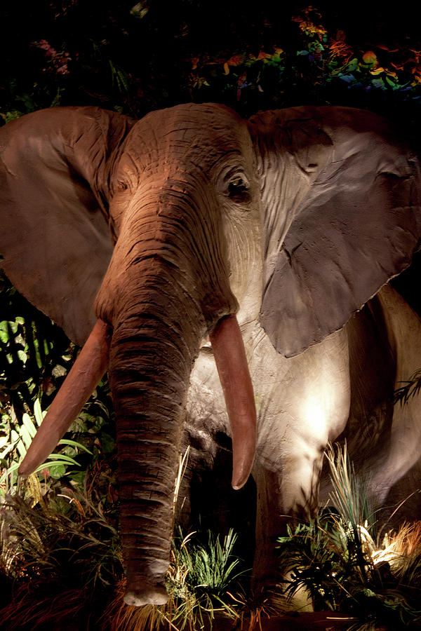 Elephant at Rainforest Cafe Photograph by Ivete Basso Photography