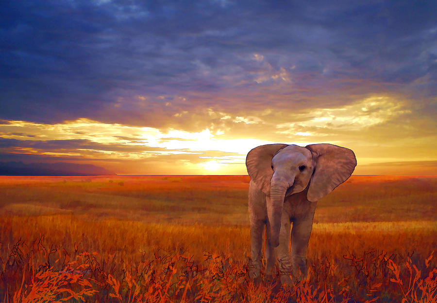 Wildlife Painting - Elephant baby by Valerie Anne Kelly
