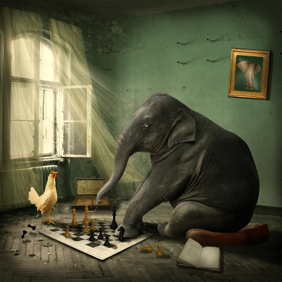 Elephant Chess Photograph by Ethiriel Photography