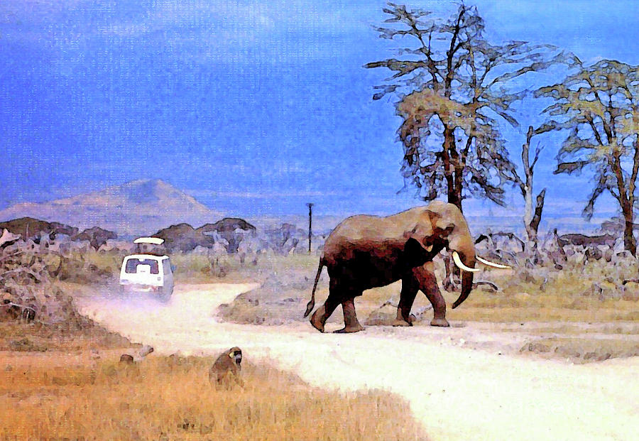 Elephant Crossing The Road Photograph by Lydia Holly