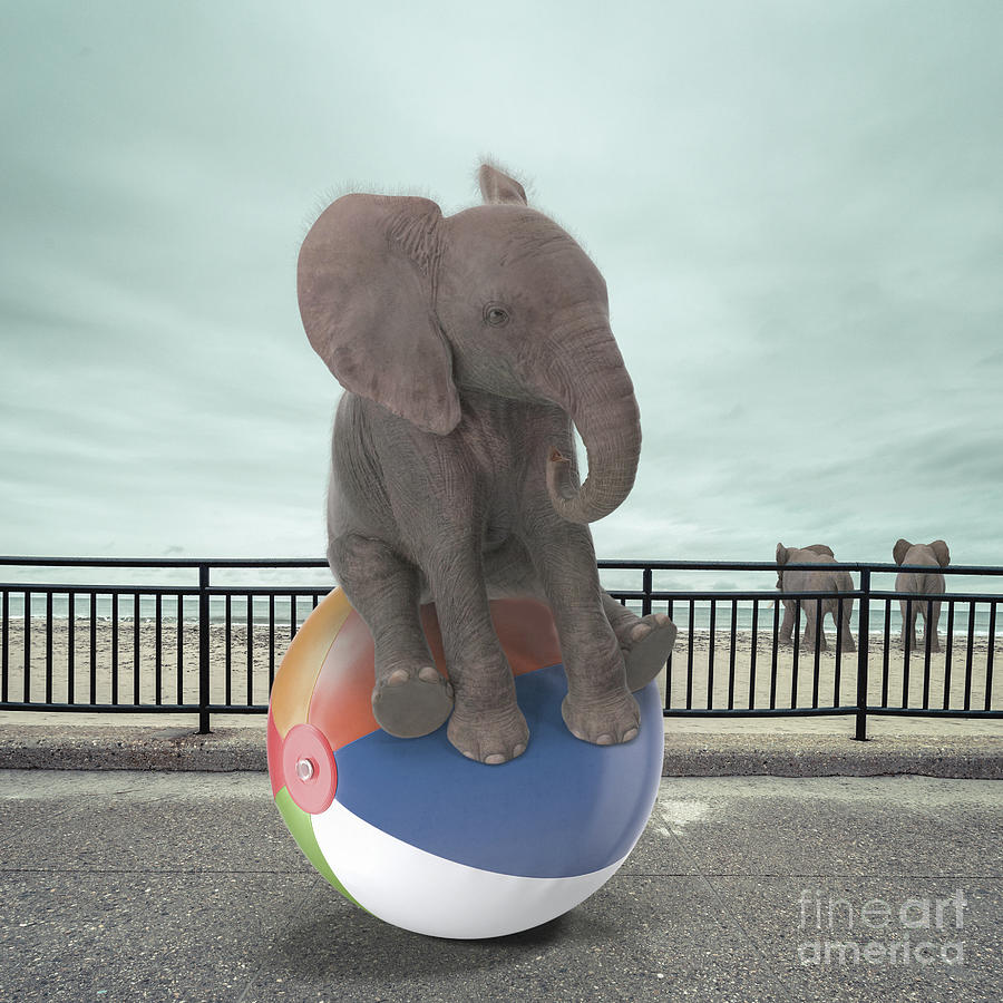 Elephant Day at the Beach Surreal Photograph by Edward Fielding