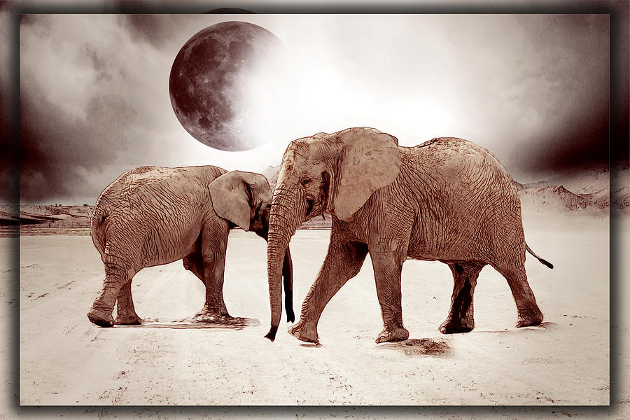Elephant Photograph - Elephant Drawing by Ericamaxine Price