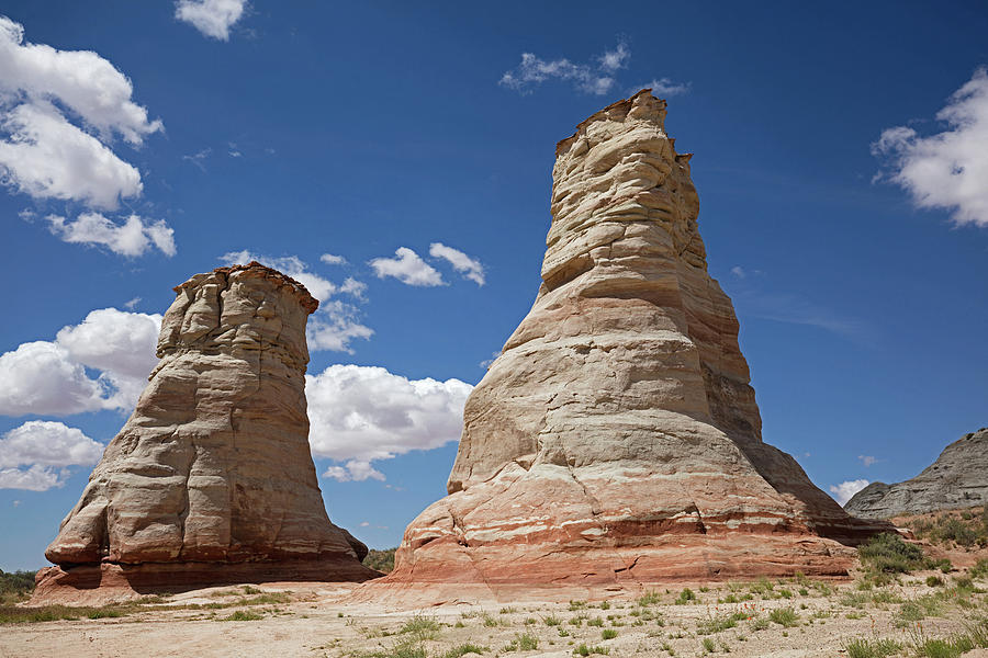 Elephant Feet Photograph by Tom Daniel - Fine Art America