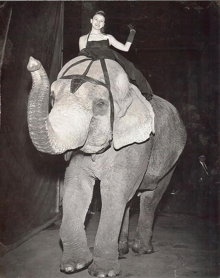 Elephant Girl Photograph By Judyann Matthews Fine Art America 9614
