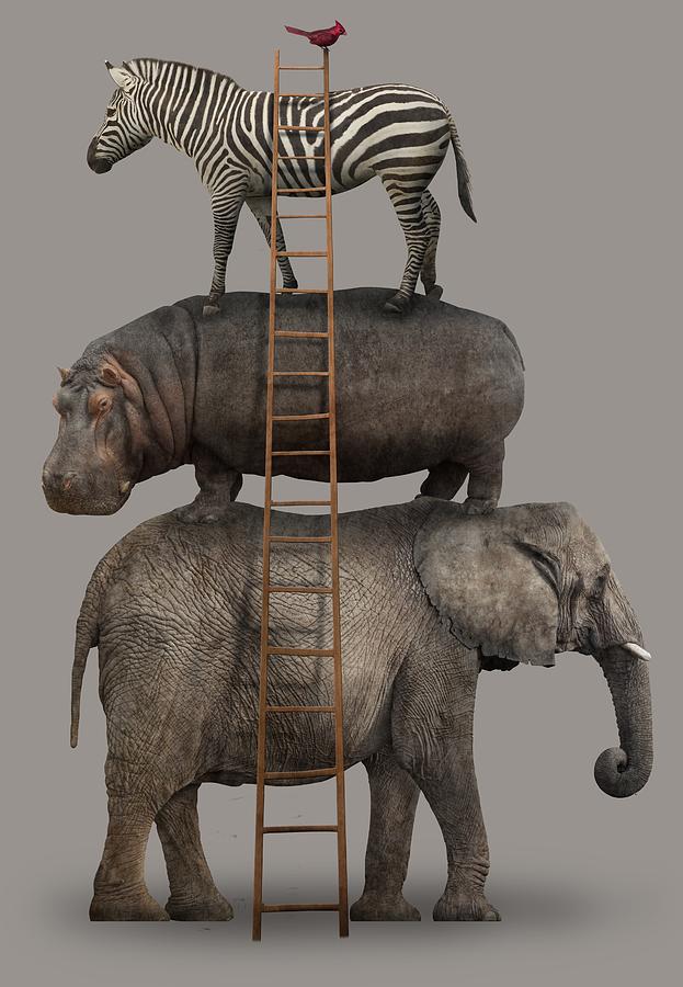 https://images.fineartamerica.com/images/artworkimages/mediumlarge/1/elephant-hippo-zebra-animal-stack-with-a-cardinal-greg-noblin.jpg