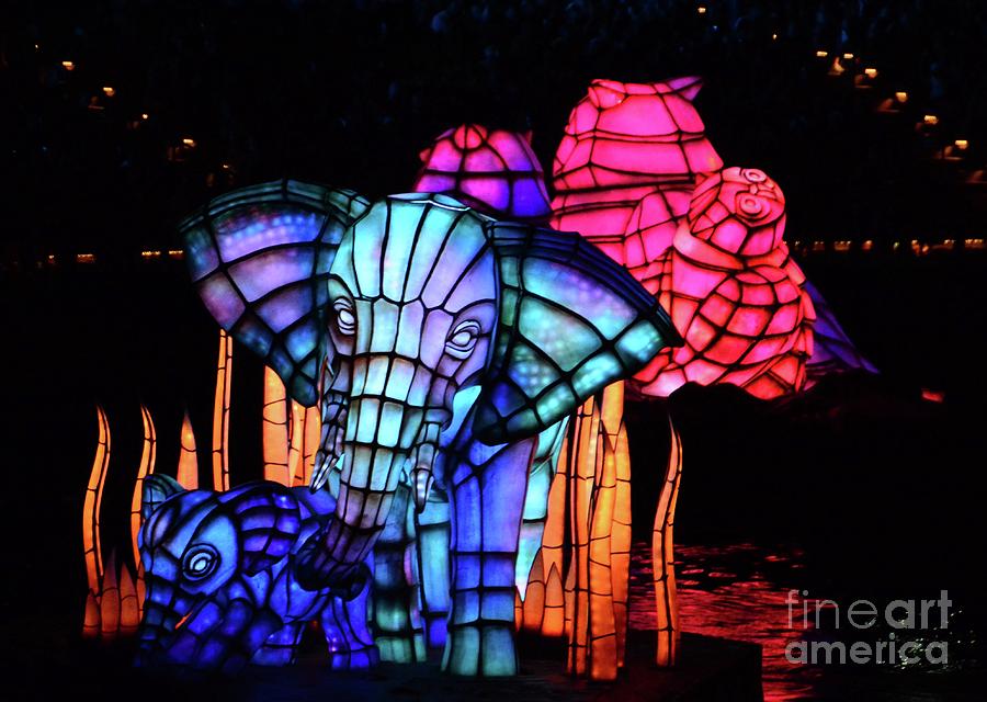 Elephant in Blue Photograph by Cindy Manero
