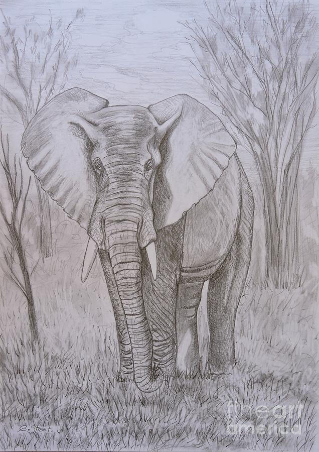 Animal Painting - Elephant in Graphite by Caroline Street