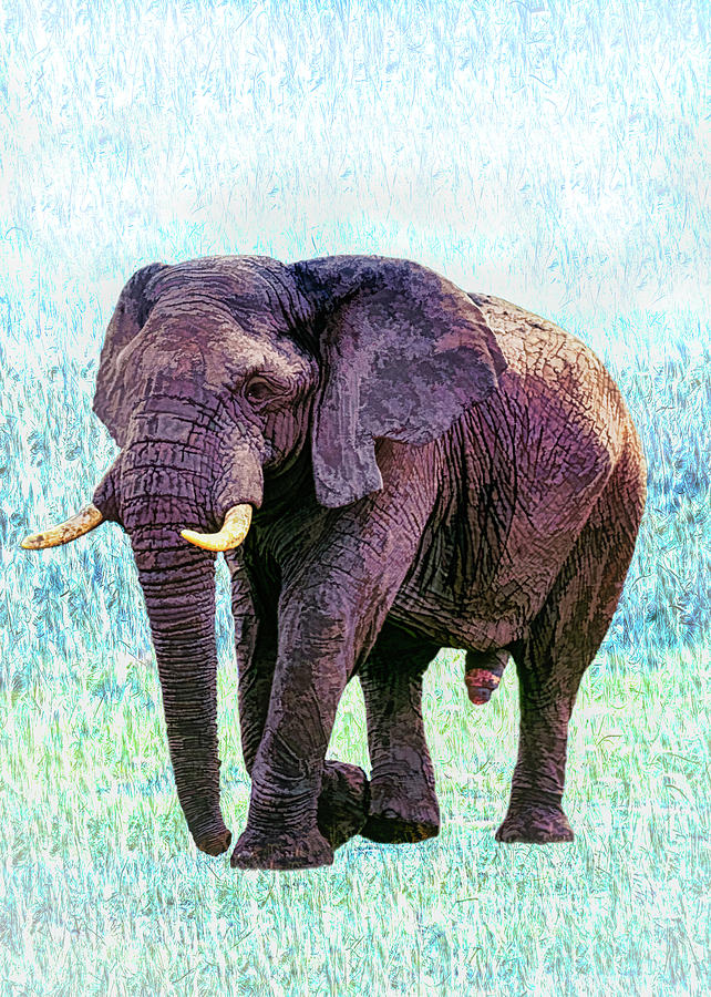 Elephant in heat Digital Art by Hans Schrodter - Fine Art America