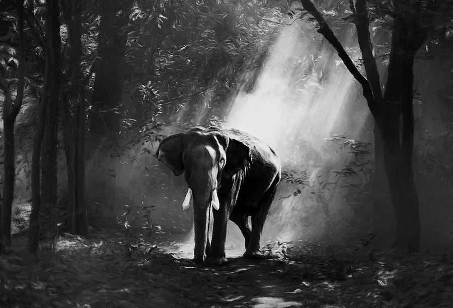 Wildlife Mixed Media - Elephant In The Heat Of The Sun Black And White by Georgiana Romanovna
