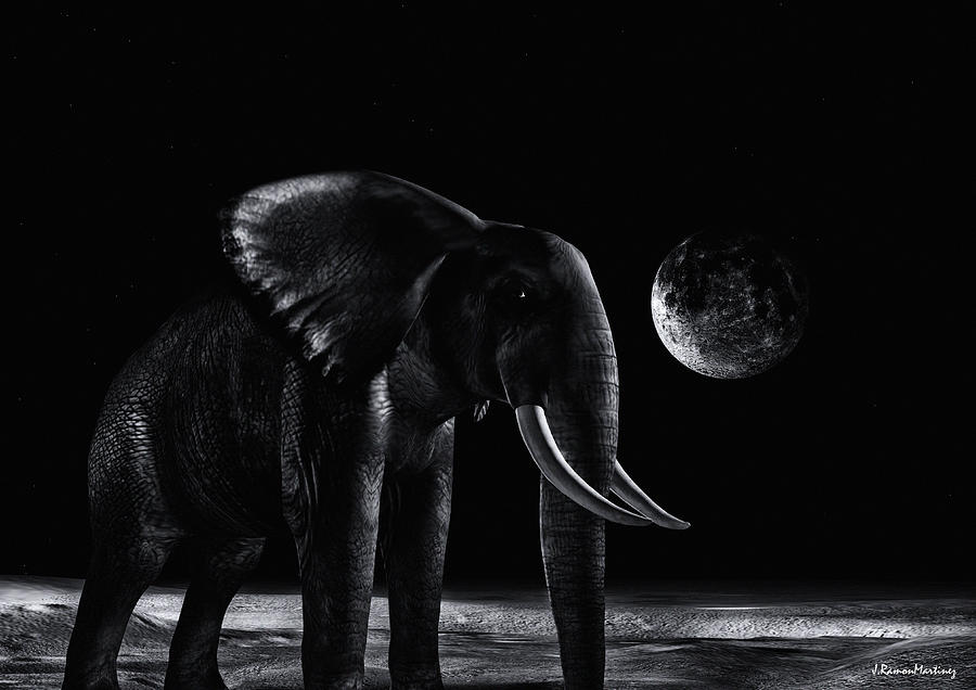 Elephant Digital Art - Elephant in the night by Ramon Martinez