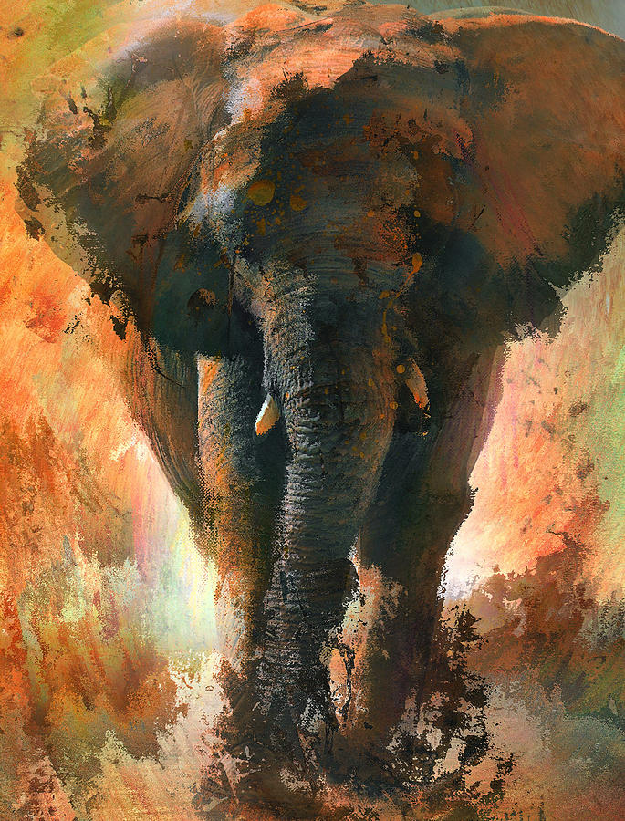 Elephant Jungle Dream Digital Art by Yury Malkov - Fine Art America