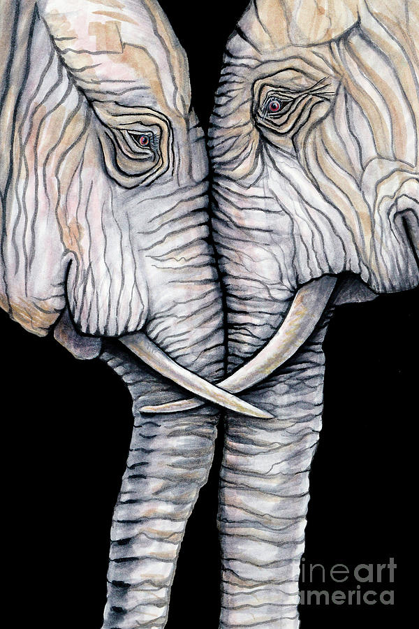 ARTWORK-Elephant Love 2 by Mollie Page