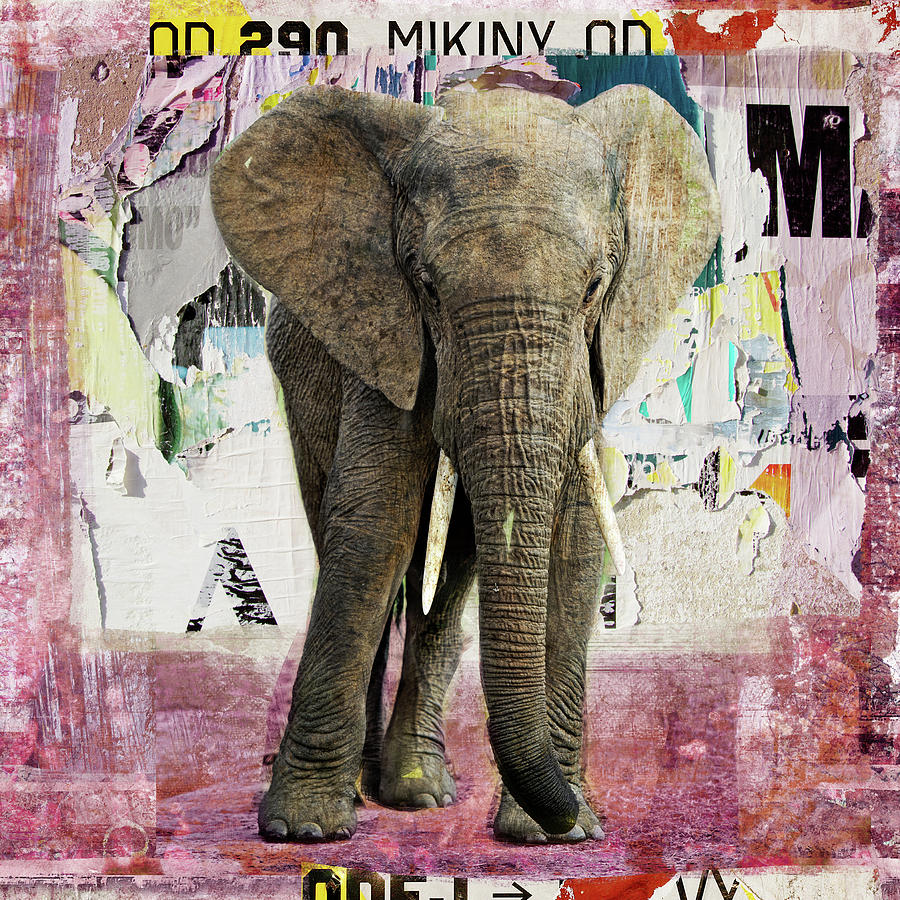 Elephant M letter Digital Art by Luz Graphic Studio