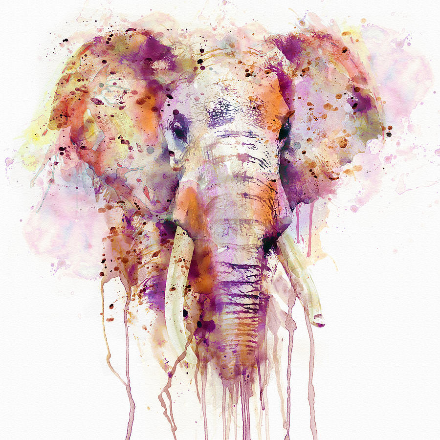 Watercolor Elephant  Painting by Marian Voicu