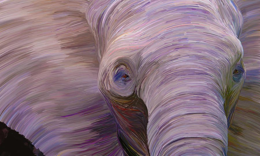 Elephant Digital Art by Matthew Lindley