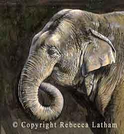 Elephant Painting - Elephant Miniature by Rebecca Latham Elephant Painting - Elephant Miniature by Rebecca Latham