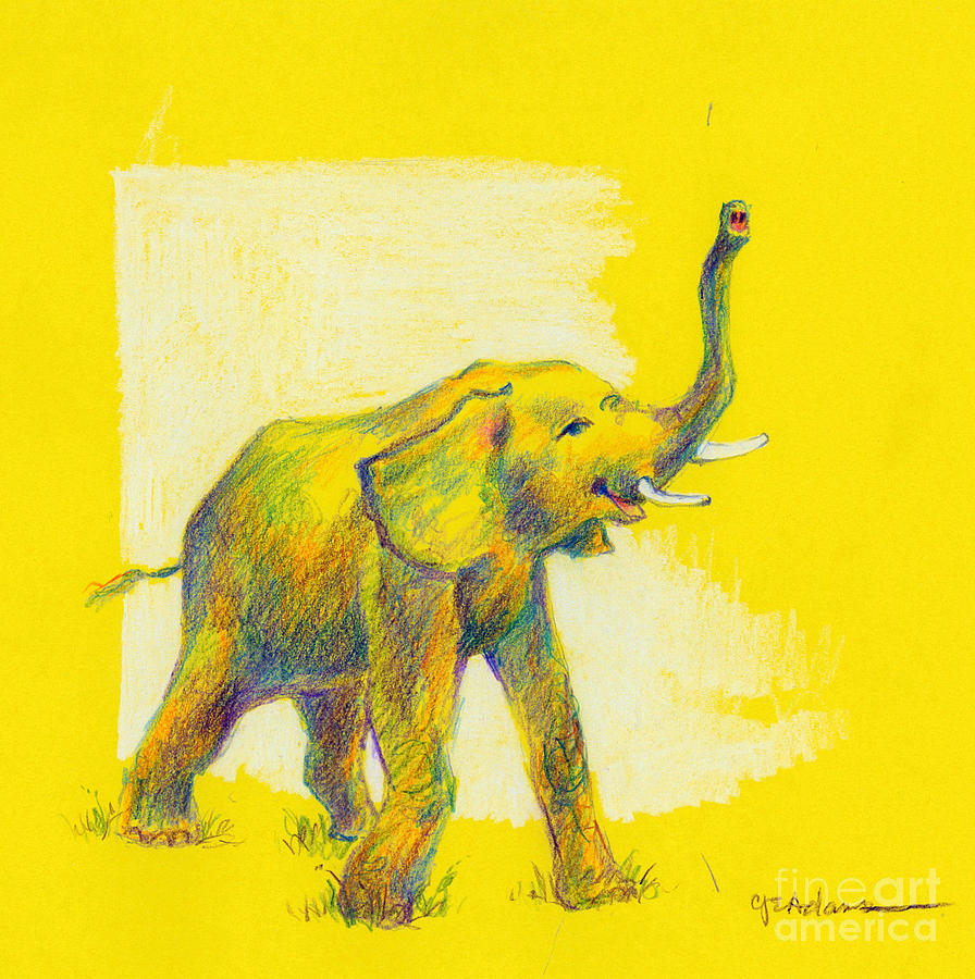 Elephant on Gold Drawing by Cheryl Emerson Adams