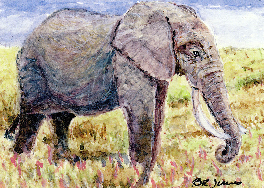 Elephant on the Savannah Painting by Barry Jones